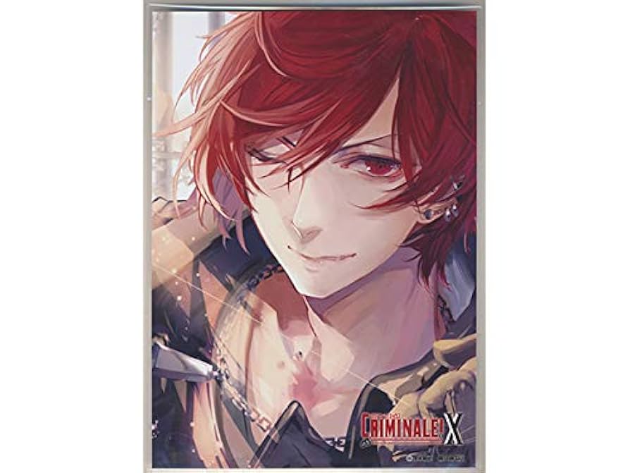 Amazon.co.jp: クリミナーレX カラ ジャケットイラスト2L判